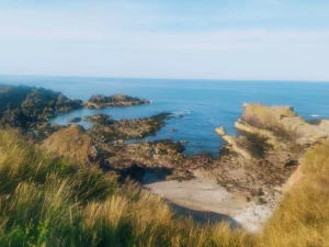 Eyemouth by Dominika Waniewska