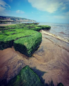 Robins Hood Bay by Anna Piecyk